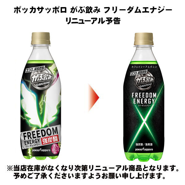 ポッカサッポロ がぶ飲み フリーダムエナジー 500ml ペットボトル 48本 (24本入×2 まとめ買い)