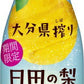 ポッカサッポロ おおいた日田の梨ソーダ 410ml ペットボトル 48本 (24本入×2 まとめ買い) 炭酸飲料 微炭酸