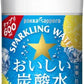 ポッカサッポロ おいしい炭酸水 レモン 600ml ペットボトル 48本 (24本入×2 まとめ買い)