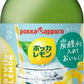 ポッカサッポロ ポッカレモンぎゅっとレモン 300ml 24本 (12本入×2 まとめ買い)