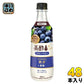 CJジャパン 美酢 ミチョ プラス ブルーベリー 500ml プラスチックボトル 48本 (24本入×2 まとめ買い) 酢飲料 希釈用 お酢 鉄分 葉酸