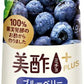 CJジャパン 美酢 ミチョ プラス ブルーベリー 500ml プラスチックボトル 48本 (24本入×2 まとめ買い) 酢飲料 希釈用 お酢 鉄分 葉酸