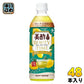 CJジャパン 美酢 ミチョ ビューティタイム 檸檬＆グリーンティー 500ml ペットボトル 48本 (24本入×2 まとめ買い) 酢飲料 レモン 果実酢