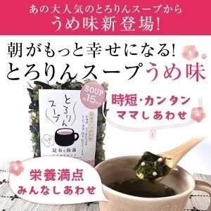 [セット]とろりんスープ昆布と海藻 うめ味[30杯分] 60g×2袋 即席スープの素