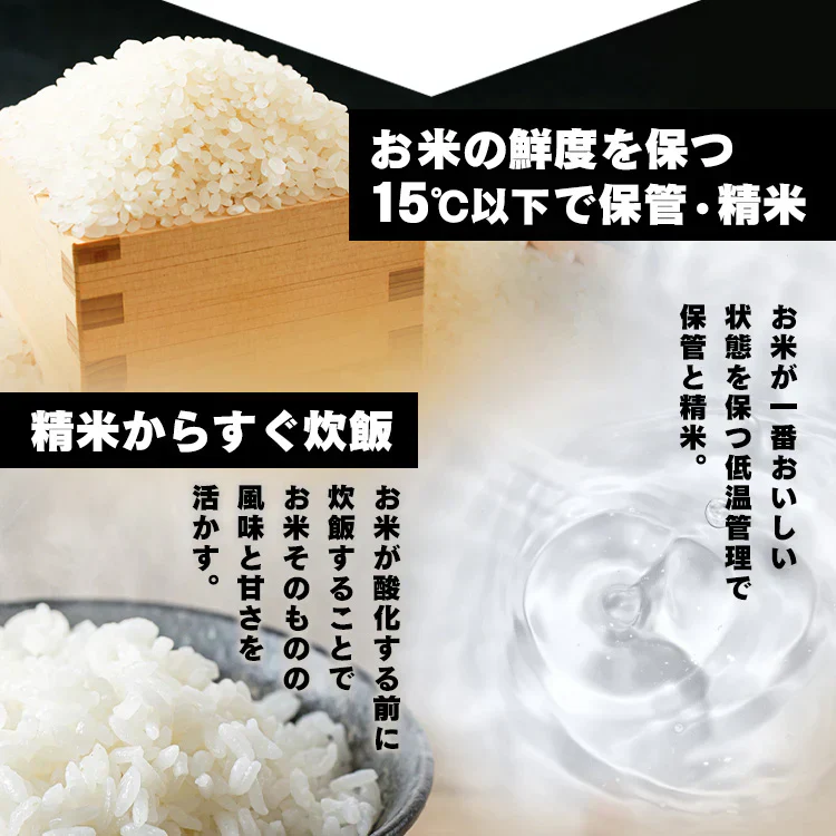 パックご飯 パックごはん 200g×40食パック アイリスオーヤマ 送料無料 レトルト 備蓄用 防災 常温保存可 保存食 非常食 仕送り 低温製法米のおいしいごはん アイリスフーズ