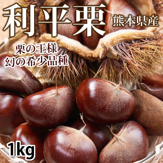 【9月下旬～10月上旬頃より順次出荷】利平栗 栗 送料無料 1kg L～2L クール便 熊本県産 幻の高級和栗 生栗 くり クリ 渋皮煮