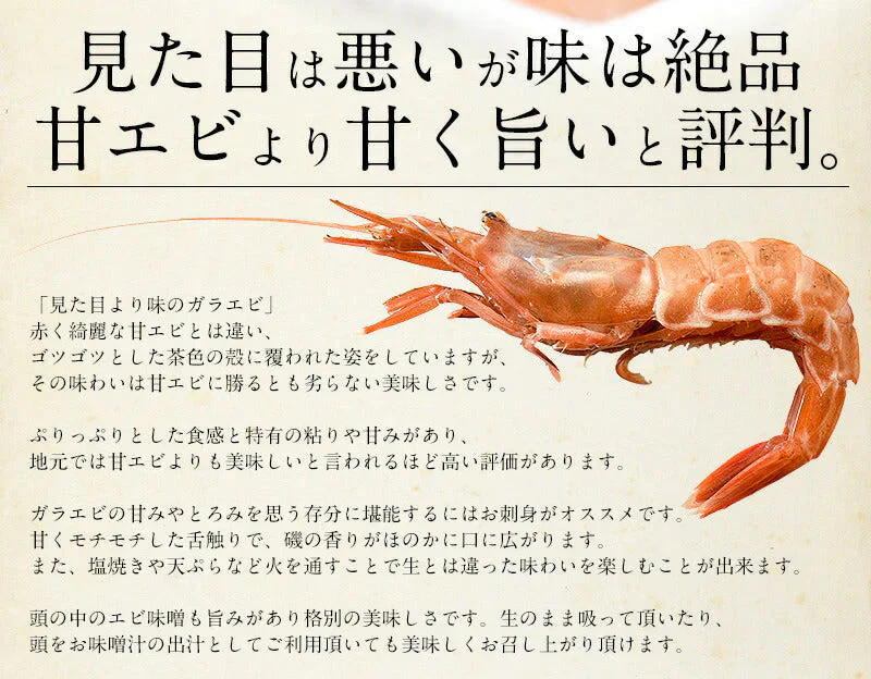 越前産 がらえび 1kg（500g×2箱）約70尾入り ガラエビ［送料無料］ えび 冷凍 エビ 冷凍えび 美味しい 冷凍エビ 甘い 冷凍海老 産地直送 国産 福井県 お刺身 お徳用 贈り物 ごちそう 贈答 母の日 プレゼント ギフト  母の日思いの 健康 実用的 父の日 子供 孫