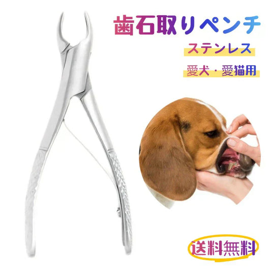即納 愛犬 愛猫用 歯石取り ペンチ 犬 歯石 デンタルケア ホームケア 猫 プロも愛用 超実用 超強力 ペット用品
