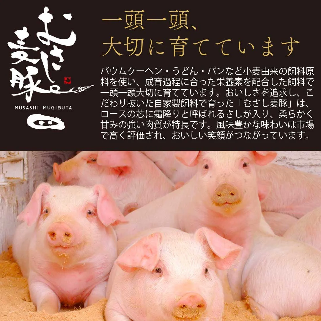 おうちごはん 国産 豚肉セット 2人前メニュー10品【豚ロース生姜焼き300g豚肩ロースとんかつ用300g豚ヒレブロック1本400-500g 豚ひき肉400g豚小間肉300g豚スペアリブ300g豚タン1本200g