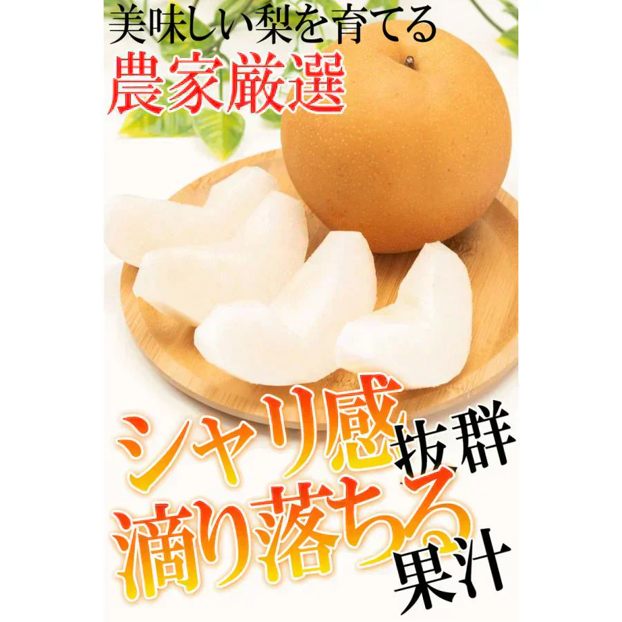福島県産　梨　なし　5kg箱　★秀品★品種おまかせ