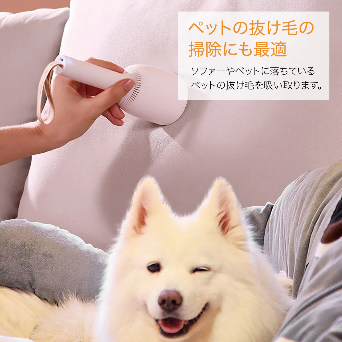 いつでもどこでもサッと手軽にお掃除！コードレス ミニ掃除機