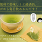 【10個セット】日本橋いなば園 こいうま深蒸し茶ティーバッグ カップ用 2g×20包 ヤマト宅急便発送 いなば園 水だし 水出し茶 ギフト 贈り物 プレゼント 香典返し 贈答 内祝い お茶 ティー 手土産 プチギフト 深蒸し煎茶 お礼 茶匠庵