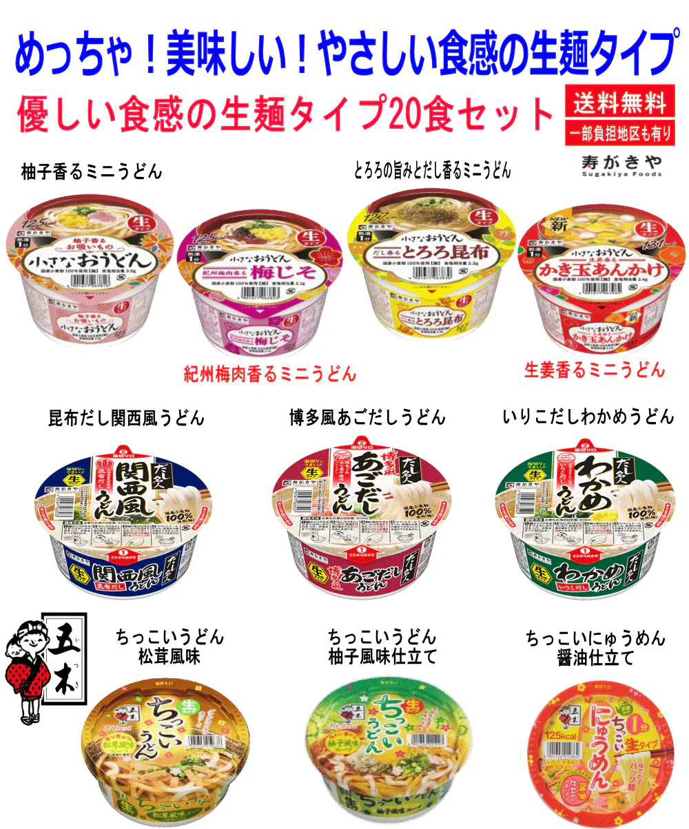 【生麵うどん決定版】 寿がきや 五木食品 あっさり やさしい味を楽しんで下さい うどん好きの貴方のセット 20食セット 関東圏送料無料