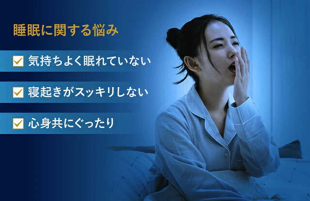 睡速1.0  枕 専用カバー付き