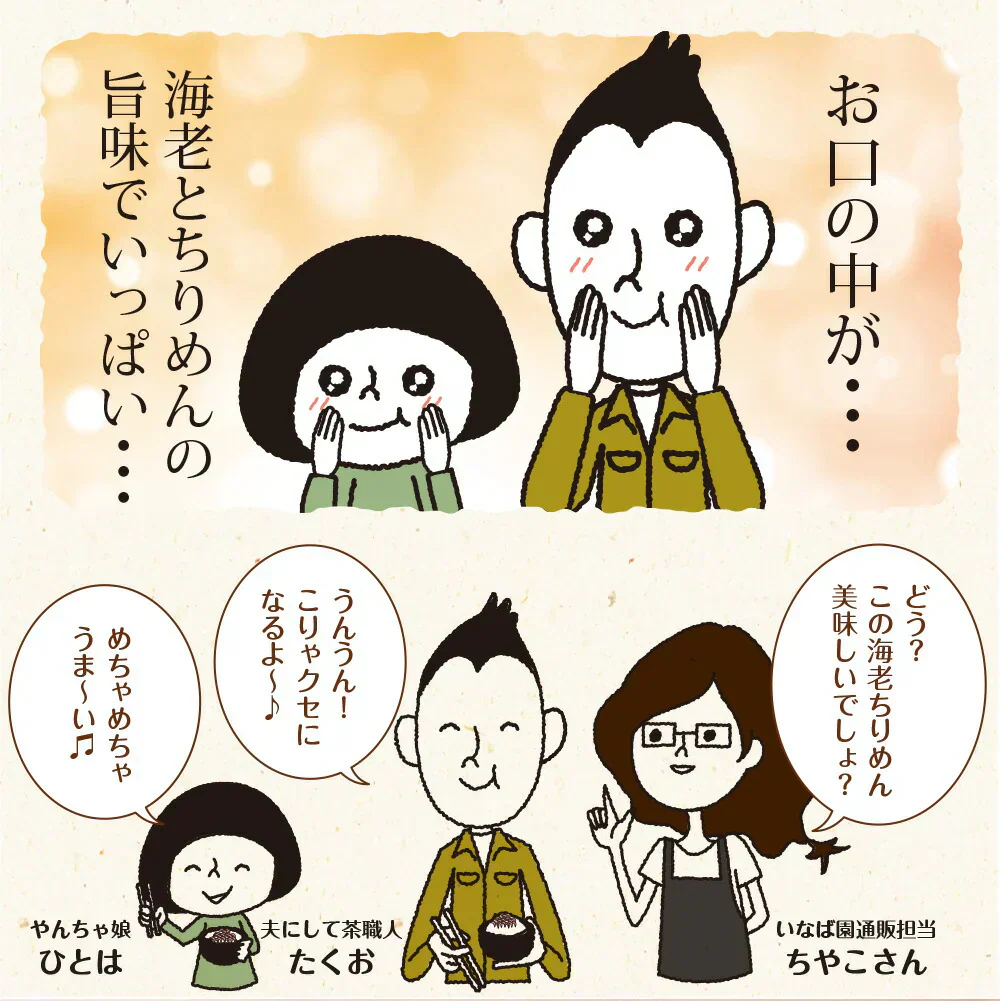 【3個セット】日本橋いなば園 海老ちりめん 30g メール便送料無料
