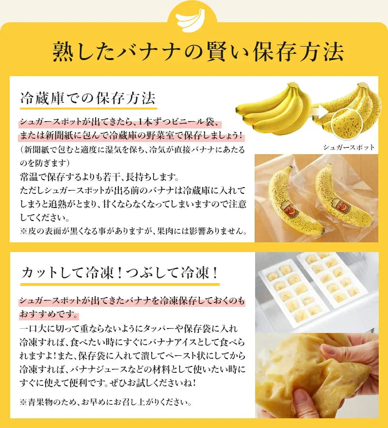 【バナナの王様！】完熟王 バナナ 2kg (約8-15本) ※1.5kg +500g保証分 朝食 おやつ