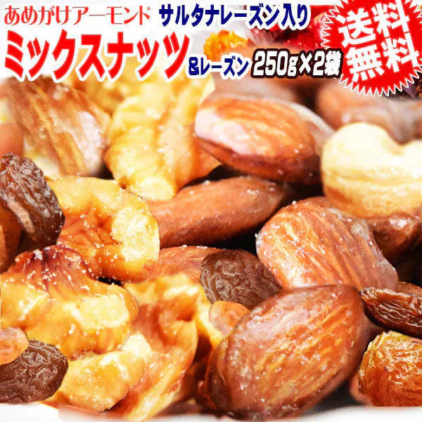 ナッツ＆レーズン 250g×2袋 4種トレイルミックス あめがけアーモンド 生 くるみ 少しの ロースト カシューナッツ サルタナレーズン