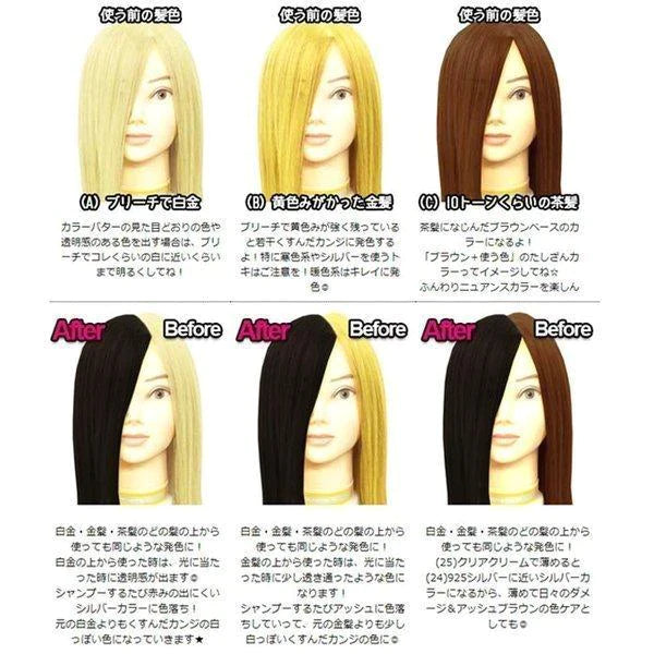 ダークシルバー エンシェールズ カラーバター 200g  (送料無料) ヘアカラー トリートメント ヘアマニキュア  ヘアケア クリップジョイント マニキュア インナーカラー ダメージヘア ブリーチヘアー