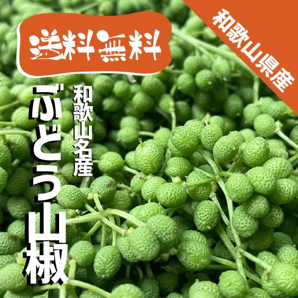和歌山県産 ぶどう山椒 秀品1kg 生山椒 実山椒 有田産 国産 山椒 さんしょう 山椒の実