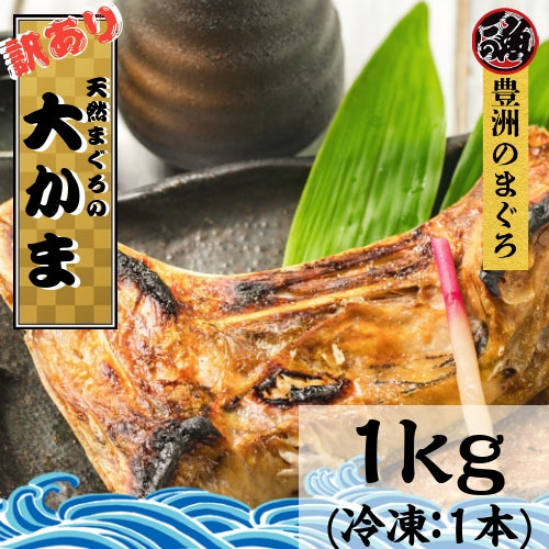 訳あり まぐろ 大かま　１ｋｇ  塩焼き イベント BBQ アウトドア メバチ マグロ