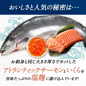 サーモン塩麹漬け いくら入り 1kg［冷凍のみ］【4～5営業日以内に出荷】