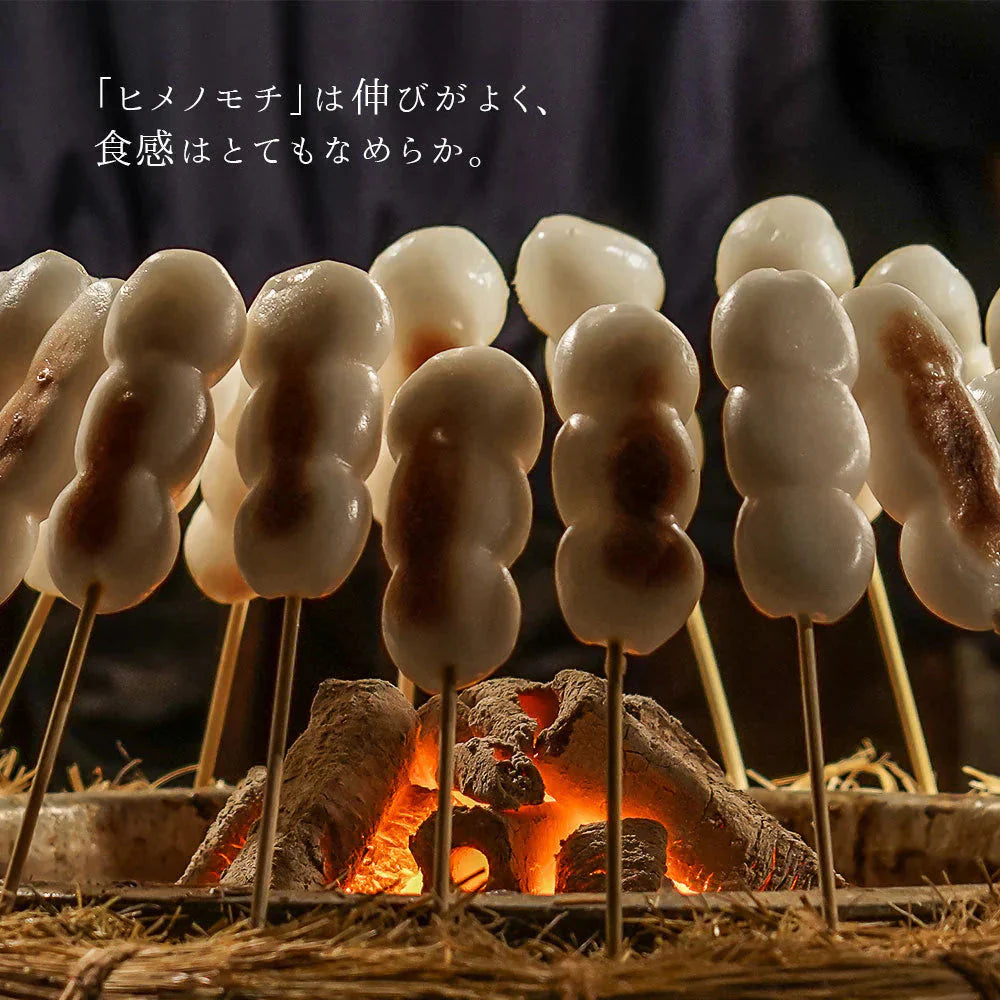 もち米 10kg (5kg×2袋) 山形県産 ヒメノモチ 令和7年産 餅米 国内産 新米