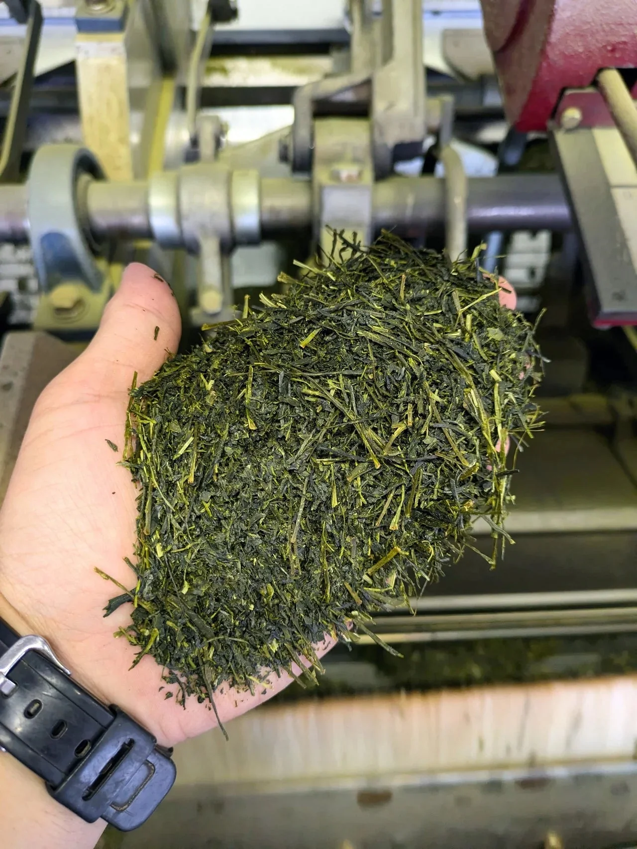 的場園 狭山煎茶 100g×2袋