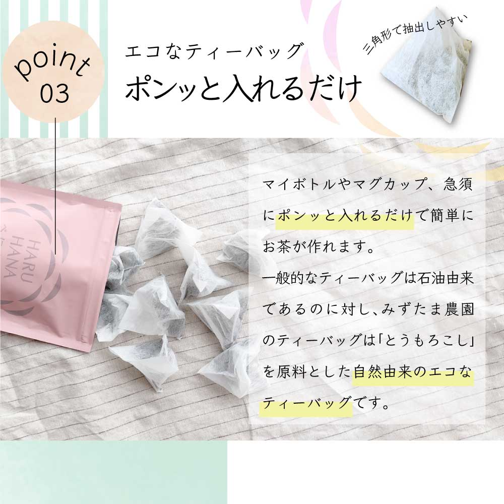べにふうき 【2袋セット】HARUHANA べにふうき ティーバッグ 3g×25個 べにふうき茶 お茶 緑茶 煎茶 深蒸し茶 粉末茶 国産 静岡 静岡茶 牧之原 牧之原茶 製菓用 大容量 冷茶 ティーパック パック
