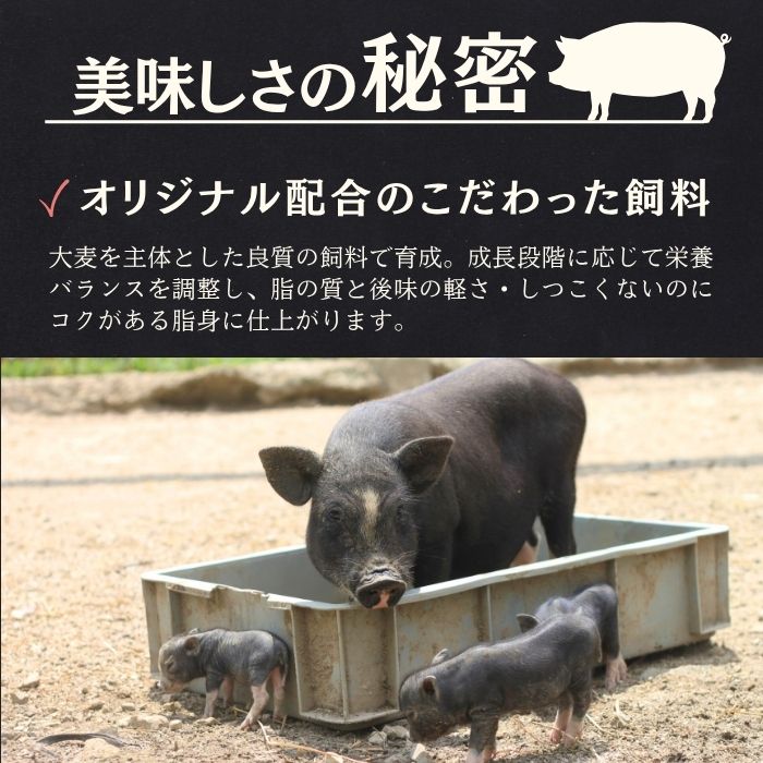 静岡県産 高級黒豚（バークシャー）小間肉（500g×2パック）