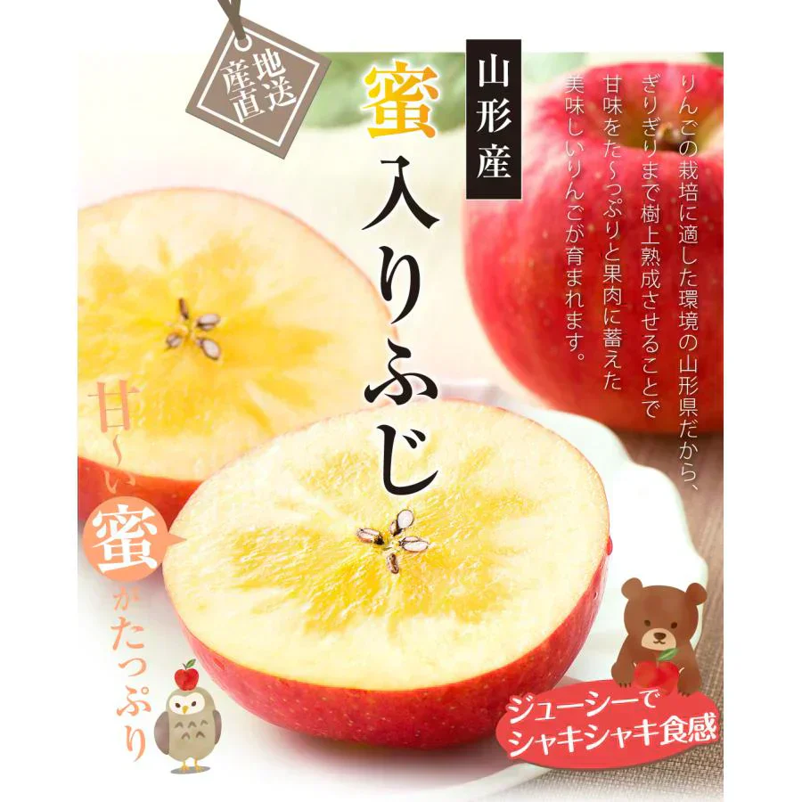 りんご 蜜入りサンふじ 山形産 3kg （発送予定：12月上旬より）