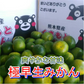 熊本産 みかん 訳あり 約1.5kg ご家庭用 60サイズ　送料無料 【9月中旬～10月下旬頃発送予定】