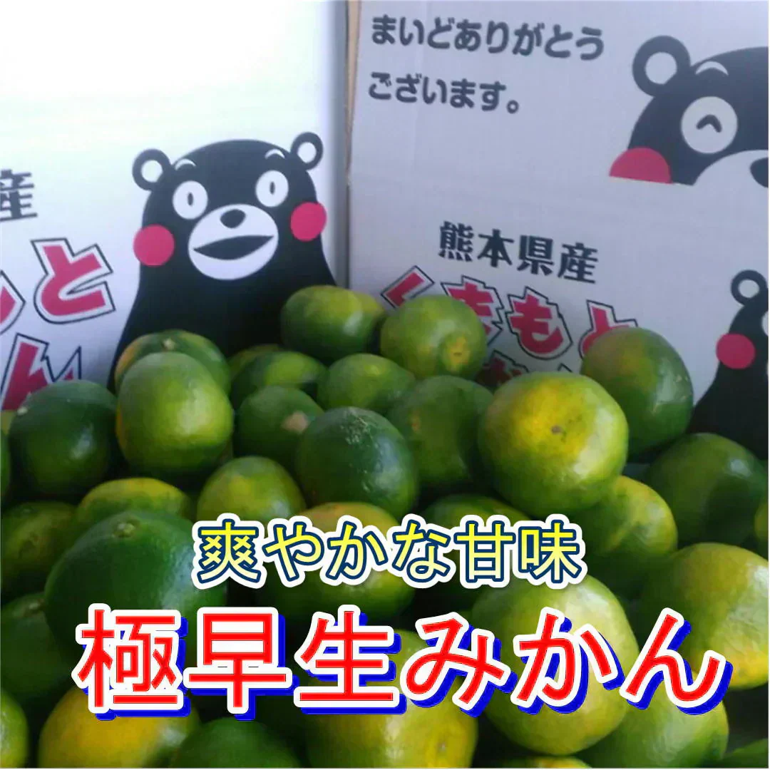 熊本産 みかん 訳あり 約1.5kg ご家庭用 60サイズ　送料無料 【9月中旬～10月下旬頃発送予定】