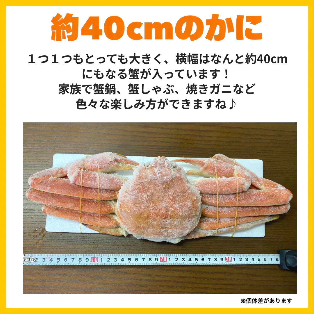 ボイル本ズワイ蟹　5㎏　発泡箱入り（1尾あたり約700g）
