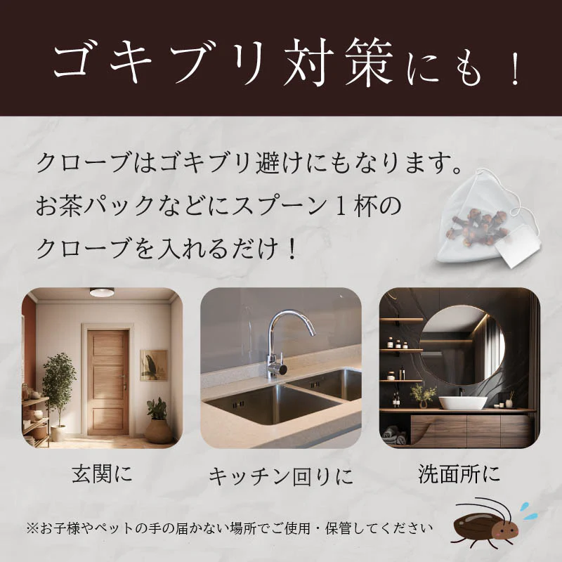 オーガニック クローブ ゴキブリ 対策 無添加 200g ホール スリランカ 有機JAS スパイスカレー セイロン スパイス 香辛料 100g x2