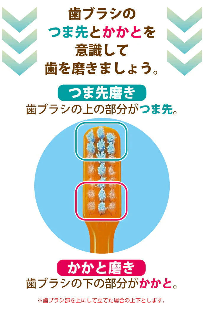 【3人シェア買いでお得】Ci PRO PLUS／Sやわらかめ／20本入【Ciメディカル 歯ブラシ】