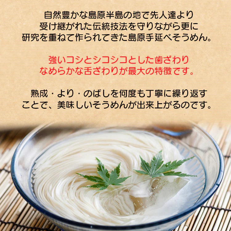 島原手延べそうめん10束(50g×10)