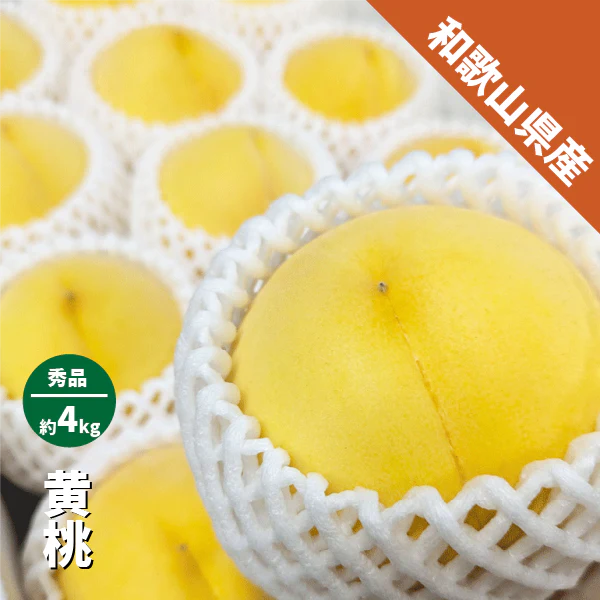 黄桃 約4kg 数量限定 ギフト 和歌山県産 贈答用 きららのきわみ つきかがみ 黄金桃 つきあかり 桃