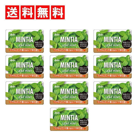 【送料無料】アサヒグループ食品 ミンティア リーフミント 50粒×10個