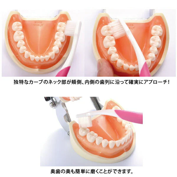 リカル 歯ブラシ フロステーパー毛(Mふつう)ブラックハンドル キャップ＋プラケース付き 1本【メール便送料無料】