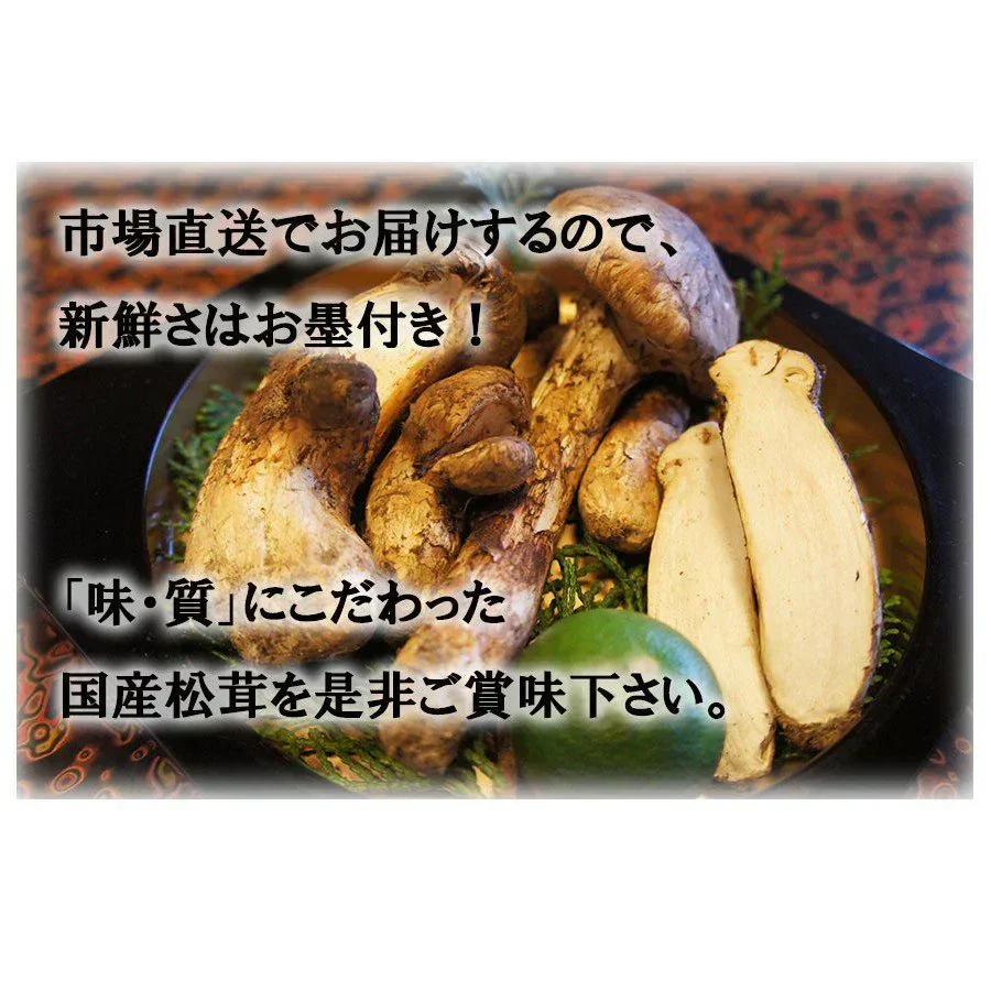 訳あり国産松茸 市場直送でお届け たっぷり堪能できる約200g入り