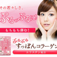 すっぽんコラーゲン《約1ヶ月分》エラスチン入り 美容 サプリ コラーゲン すっぽん エラスチン  ヒアルロン酸 サプリメント ダイエット 中の方にも【カウシェファーム収穫対象商品】