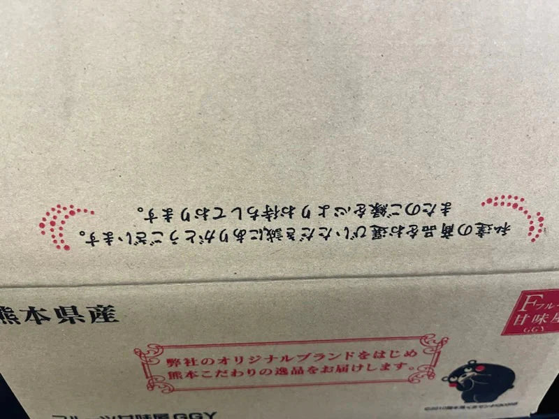 たまねぎ 約2kg 送料無料【ご新規さん限定商品】　60サイズ