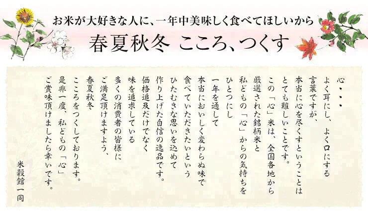 無洗米 2kg 無洗米 心 こころ 2kg×1個 九州産 米 2キロ 送料無料 令和7年産