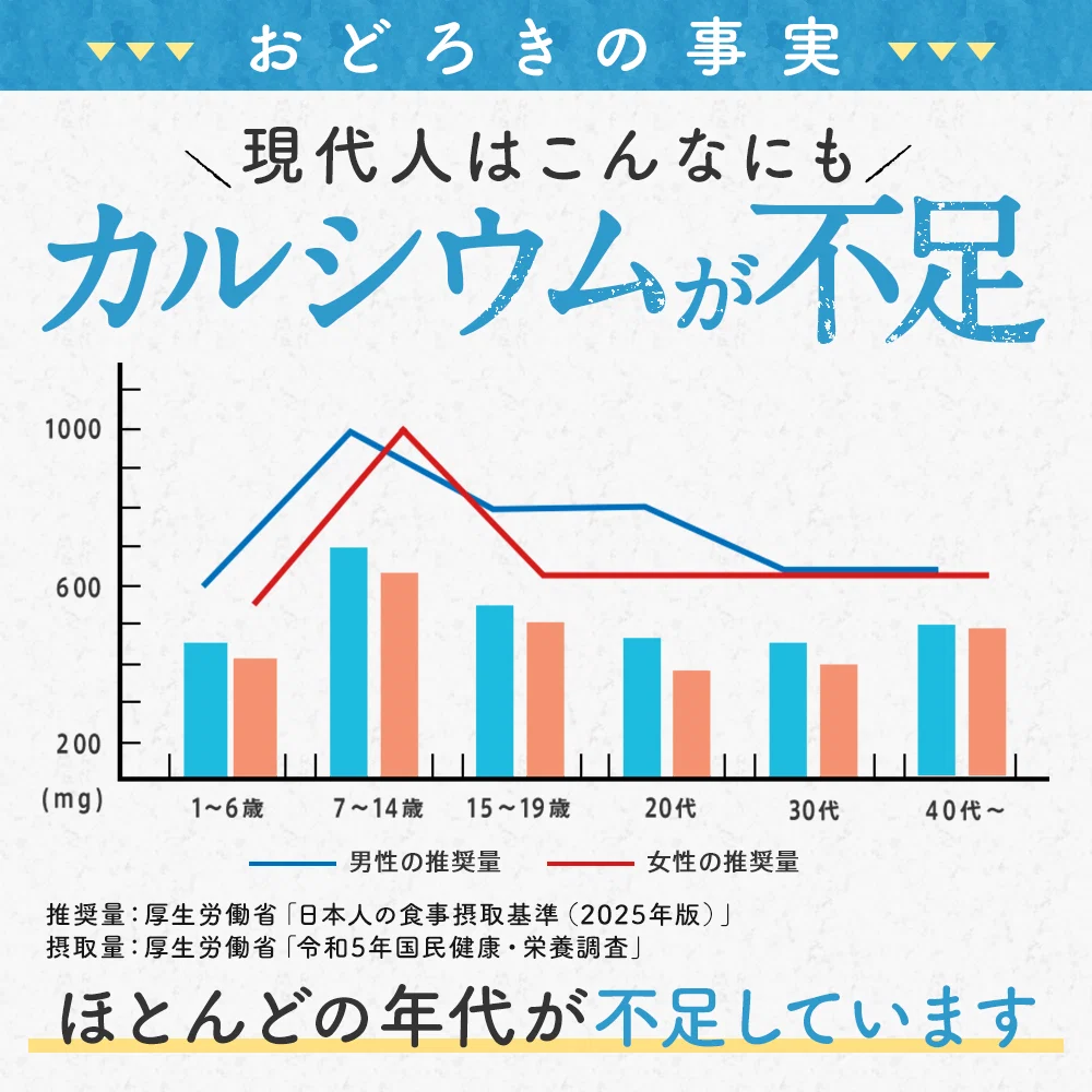 カルシウム＆マグネシウム《約3ヶ月分》ビタミンD サプリ サプリメント 健康 子供 ドロマイト ビタミン