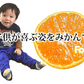 【10月上旬～中旬頃より順次出荷】みかん 10kg 送料無料 訳あり 箱込（内容量9kg＋補償分500g) 無選別 熊本みかん 極早生みかん 早生みかん 温州みかん蜜柑 ミカン