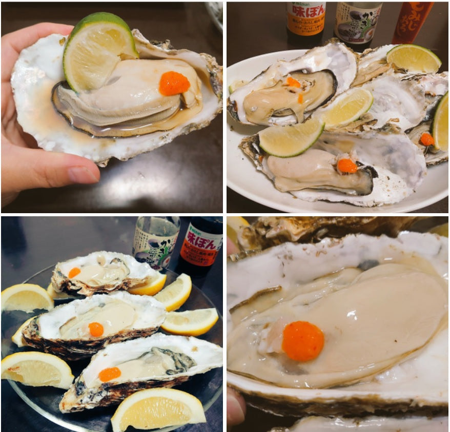 デカい牡蠣 殻付き 牡蠣 ３年牡蠣 ５ｋｇ 冷凍便 送料無料！５キロ 宮城県産 殻付き牡蠣 殻付き 殻付 カキ 加熱用 松島牡蠣屋 無選別牡蠣 牡蛎 ＢＢＱ バーベキュー食材 海産物 牡蠣通販 「３年牡蠣 ５ｋｇ」【100】