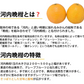 河内晩柑 みかん 送料無料 訳あり 5kg 箱込 (内容量4kg+不良果補償分500g)  S～3L お取り寄せ 和製グレープフルーツ 晩柑 熊本県産 美生柑 フルーツ