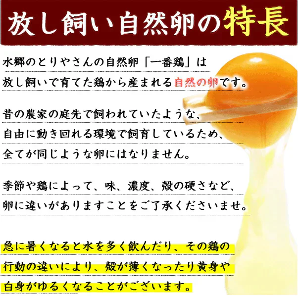 鶏肉専門店の朝引き朝どりセット　水郷どり１羽分 (もも肉2枚 胸肉2枚 ささみ2本) ＋放し飼い自然卵 (5個＋破損補償1個)