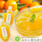 《無添加》愛媛県みかんゼリー【河内晩柑】150g×6個