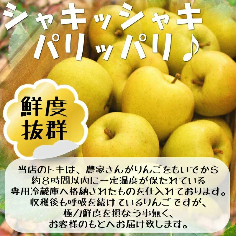 10月9日～発送！青森県産 りんご トキ 3kg箱 家庭用/訳あり ★トキ 家訳 3kg箱